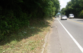 image003.png
